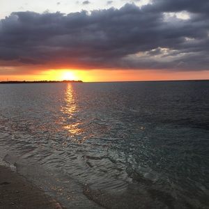 Meet your Posher, Sofia